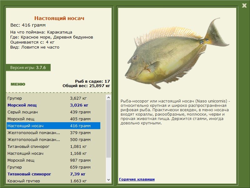 турниры • РУССКАЯ РЫБАЛКА