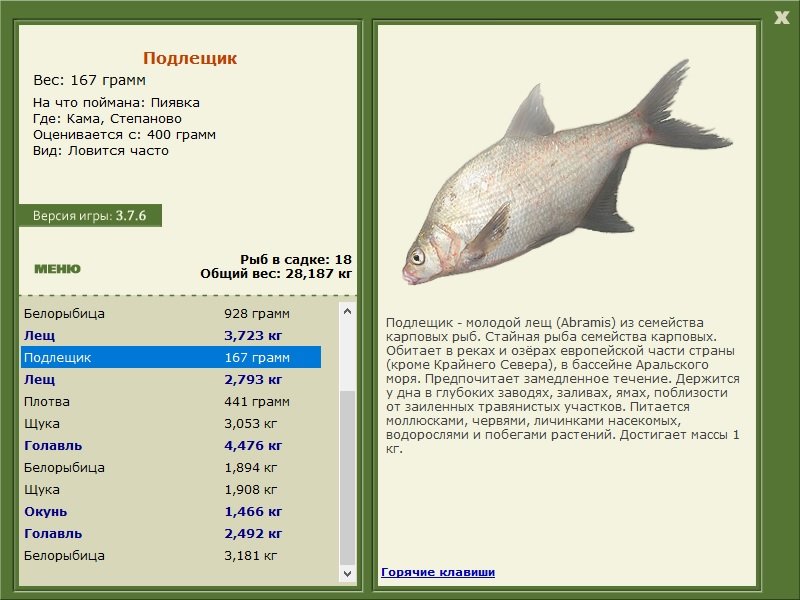 турниры • РУССКАЯ РЫБАЛКА