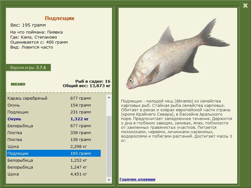 турниры • РУССКАЯ РЫБАЛКА