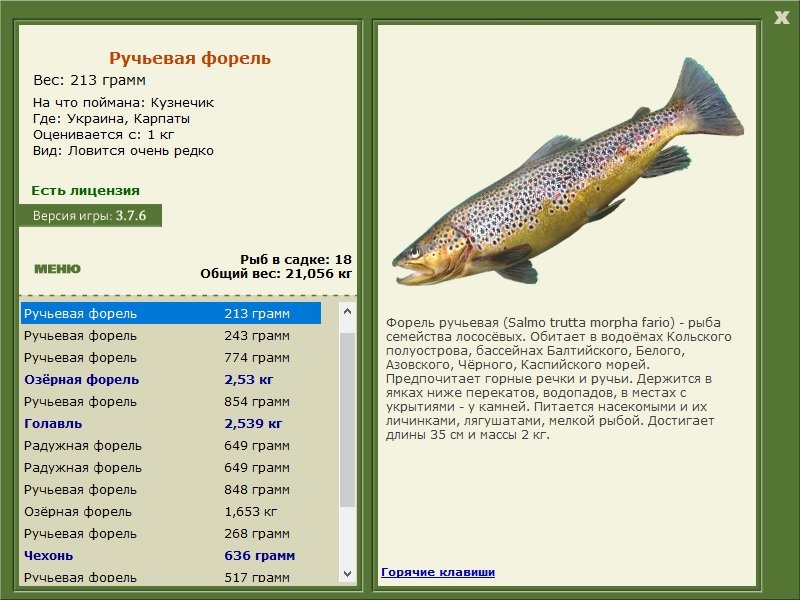 турниры • РУССКАЯ РЫБАЛКА