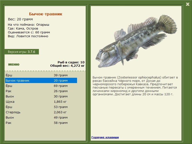 турниры • РУССКАЯ РЫБАЛКА