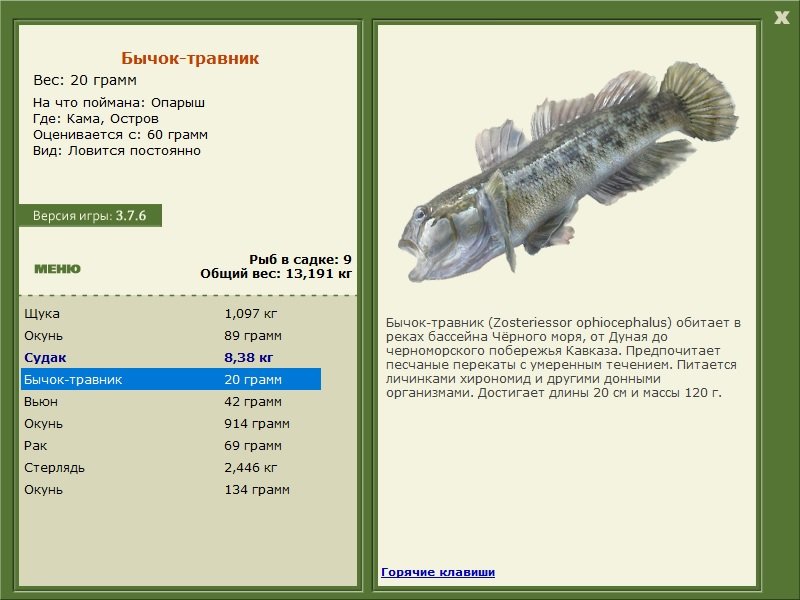 турниры • РУССКАЯ РЫБАЛКА