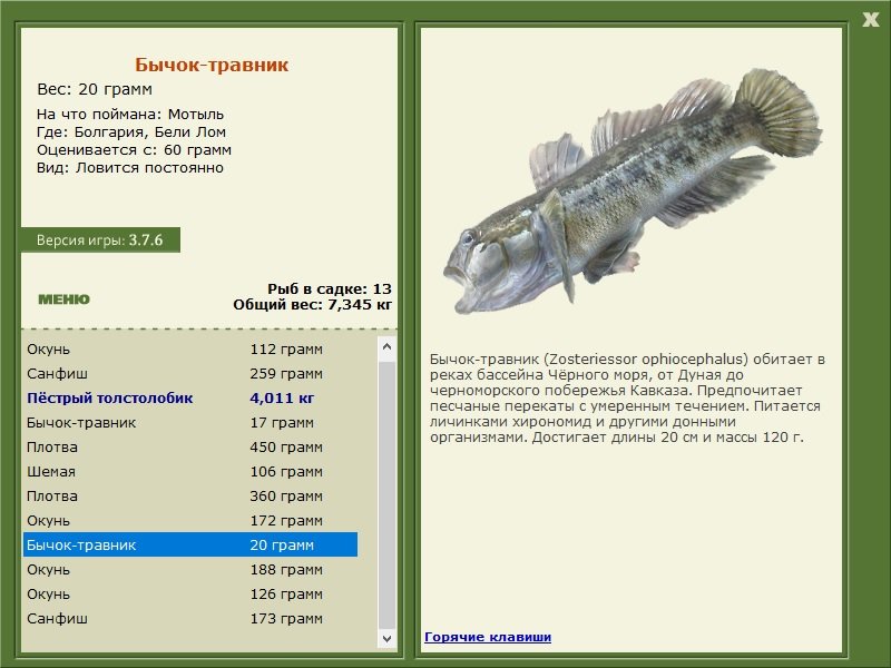 турниры • РУССКАЯ РЫБАЛКА