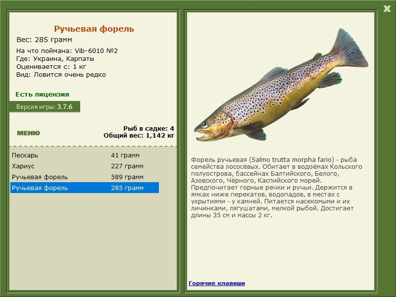 турниры • РУССКАЯ РЫБАЛКА