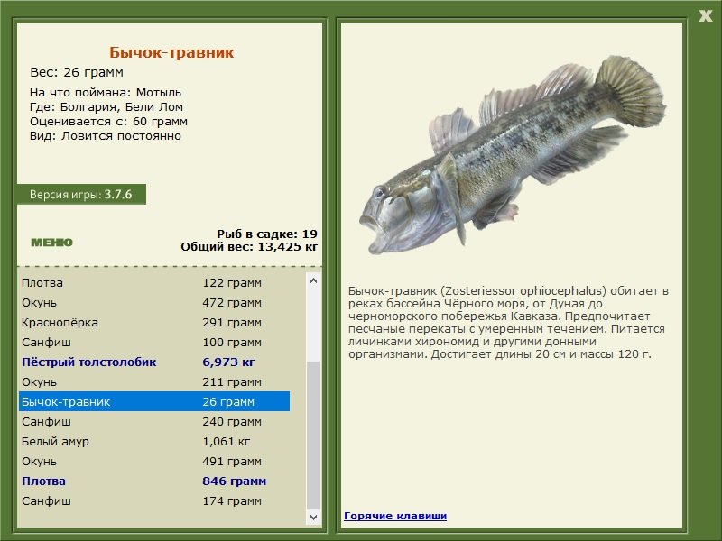 турниры • РУССКАЯ РЫБАЛКА