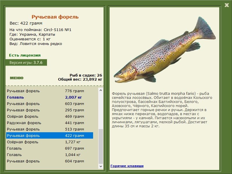 турниры • РУССКАЯ РЫБАЛКА