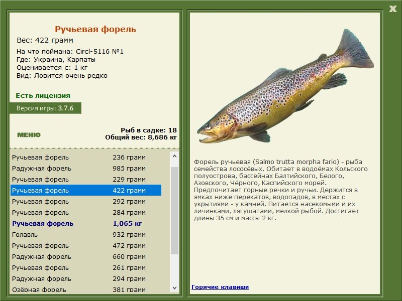 турниры • РУССКАЯ РЫБАЛКА