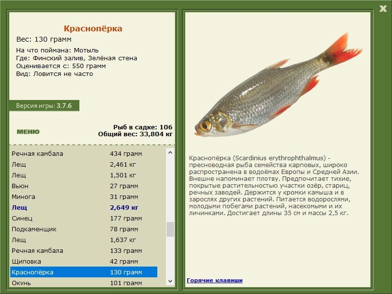 турниры • РУССКАЯ РЫБАЛКА
