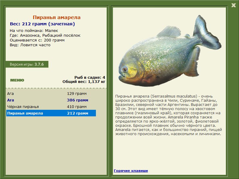 турниры • РУССКАЯ РЫБАЛКА