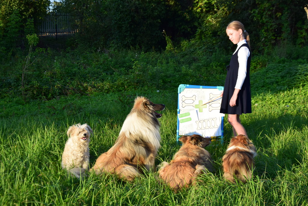  Excuse me! Мы из Кузьмы!