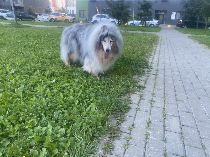  Моё хозяйство