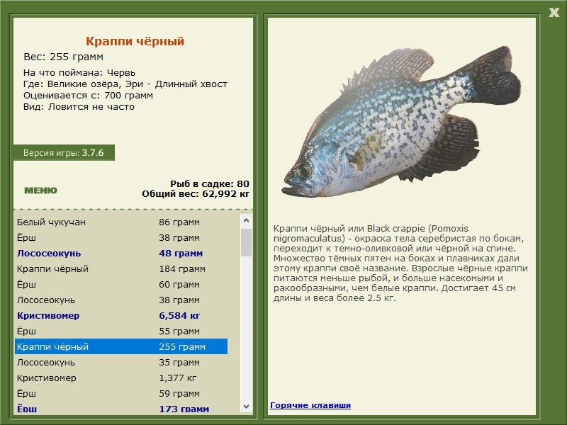 турниры • РУССКАЯ РЫБАЛКА