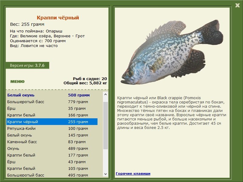 турниры • РУССКАЯ РЫБАЛКА