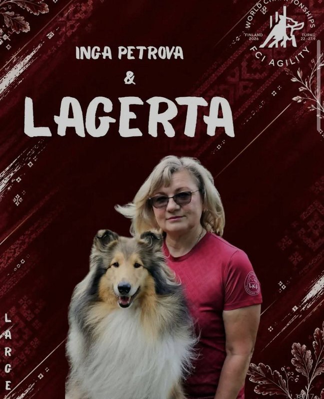  Аджилити