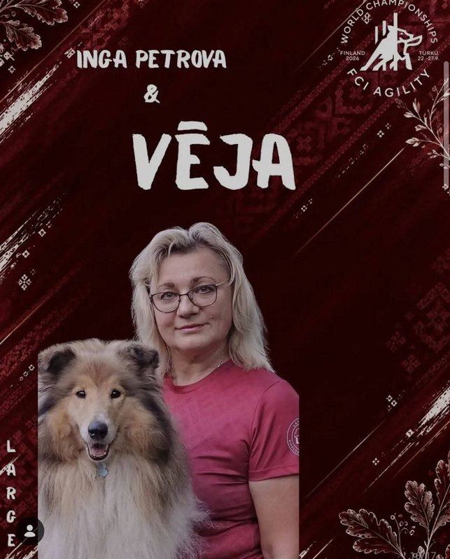  Аджилити
