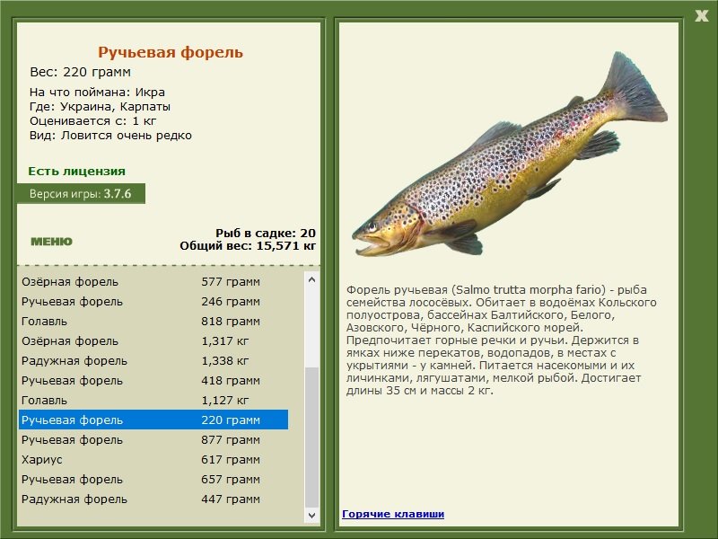 турниры • РУССКАЯ РЫБАЛКА