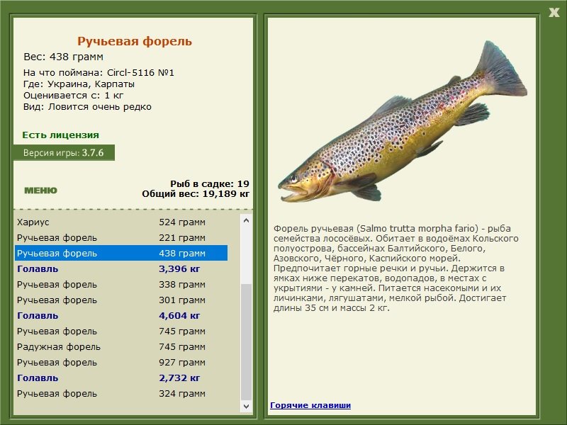 турниры • РУССКАЯ РЫБАЛКА