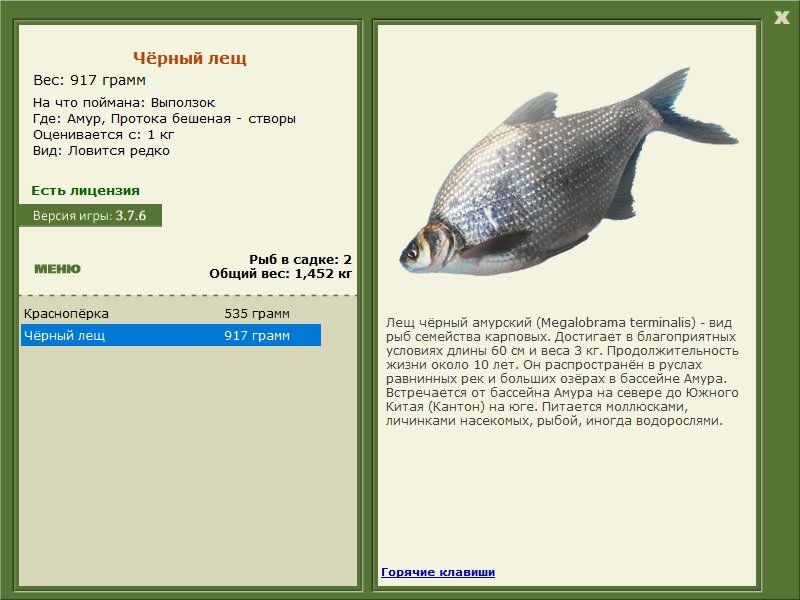 турниры • РУССКАЯ РЫБАЛКА