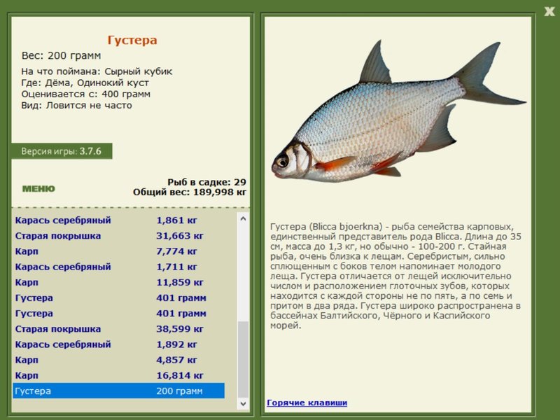 турниры • РУССКАЯ РЫБАЛКА