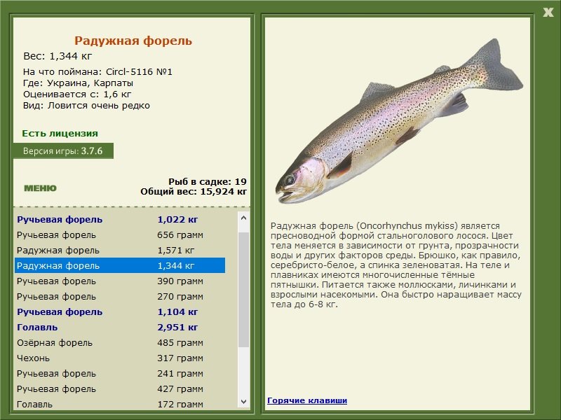 турниры • РУССКАЯ РЫБАЛКА