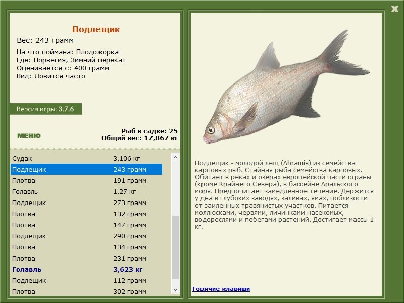 турниры • РУССКАЯ РЫБАЛКА