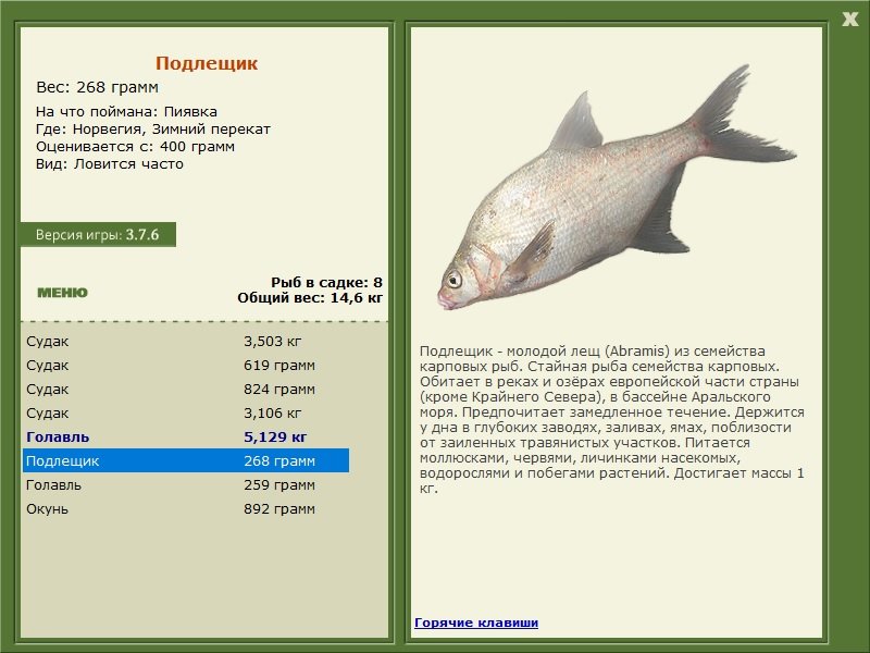 турниры • РУССКАЯ РЫБАЛКА