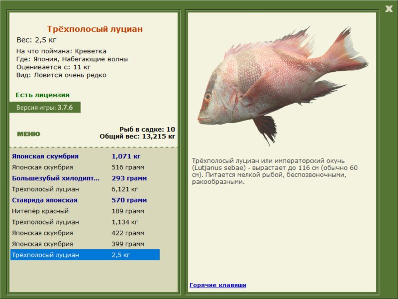 турниры • РУССКАЯ РЫБАЛКА