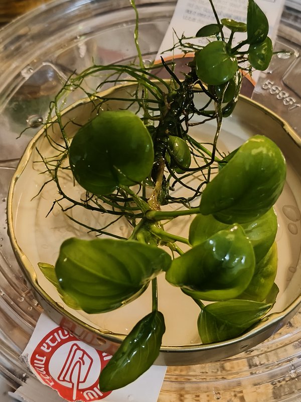  Ответить