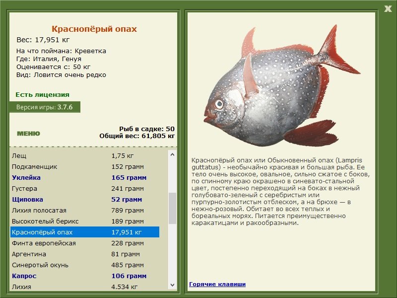 турниры • РУССКАЯ РЫБАЛКА