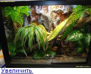 http://forumimage.ru/thumbs/20111129/132257397769009437.jpg