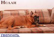 http://forumimage.ru/thumbs/20120109/13261056065900638.jpg