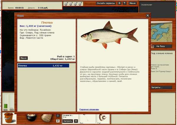 Русская рыбалка 3: ловля густера в Лопасне - популярная игра для рыболовов