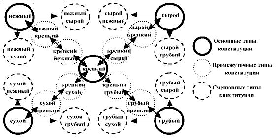 Собаки Средней Азии