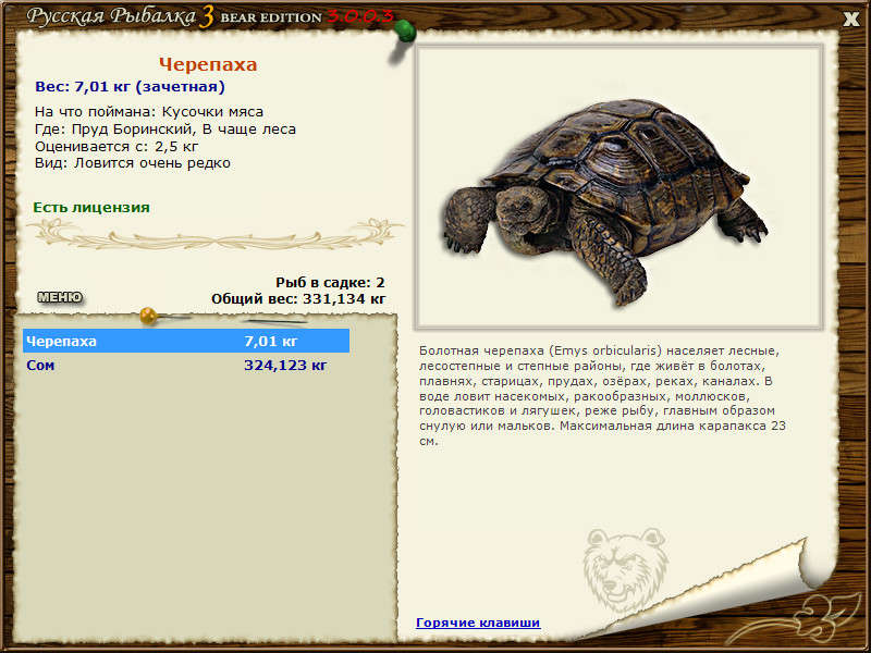 Исполнитель черепаха действует. Русская рыбалка 3 7 6 черепаха трофей. Русская рыбалка 3 Ахтуба черепаха.