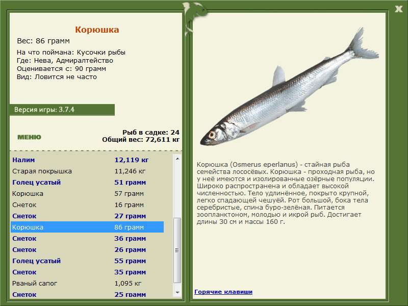 Где В Пскове Купить Рыбу