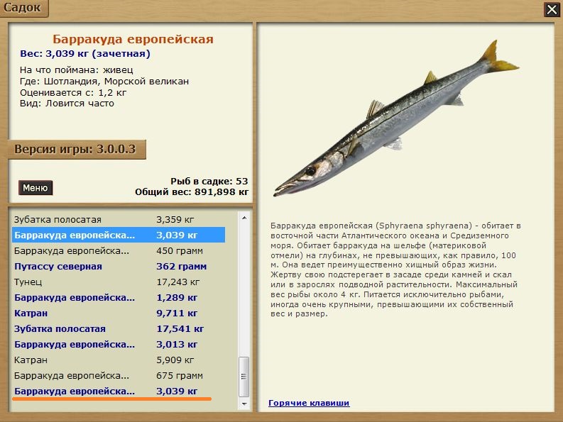 рр 3. реальная рыбалка барракуда. таблица рекордов русская рыбалка. барракуда размеры рыбы. 7.