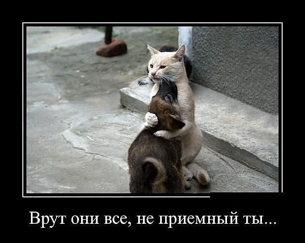 http://forumimage.ru/uploads/20141210/141821559586809611.jpg