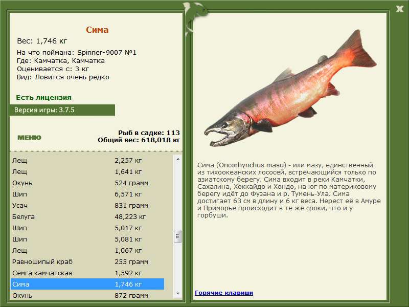 Где поймать. Рр 3.7.5 Амур Сима. Что ловится рыба горбуша. Русская рыбалка Камчатка. Кижуч рыба вес.