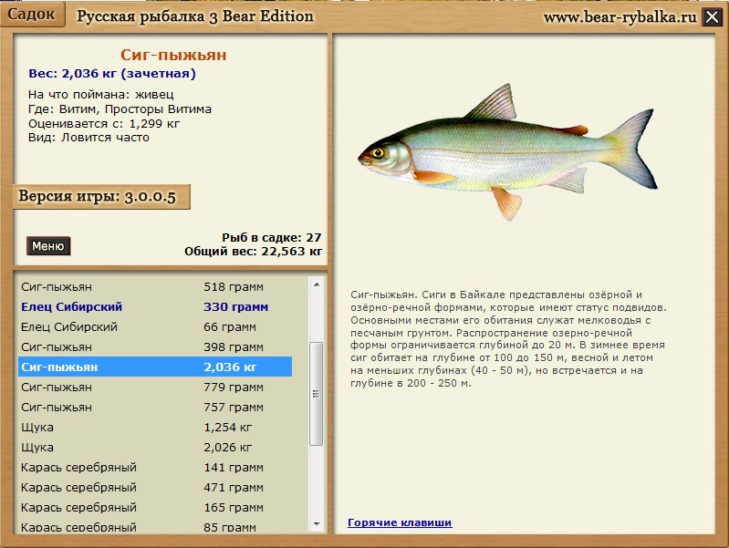 Рыба из сигов 6 букв. Русская рыбалка 3 7 6 Витим Даватчан. Русская рыбалка 3 7 6 Витим Даватчан квест. Витим русская рыбалка 3.6. Русская рыбалка 3 7 4 Витим.