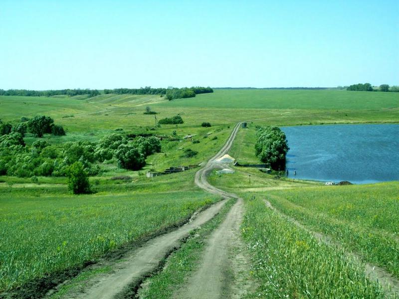 В курской деревне. Деревня Екатериновка Курская область. Село Рогозцы Тимского района Курской области. Деревня кленовое Курская область. Курская область села и деревни.