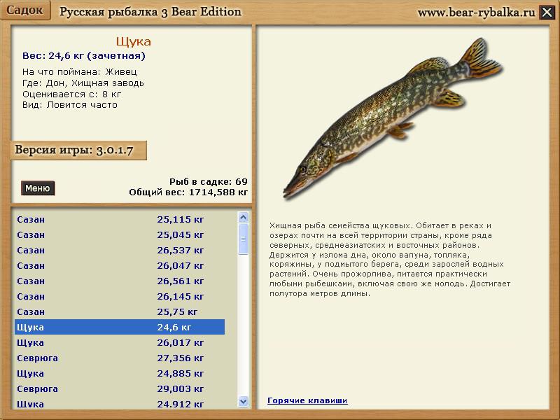 Как поймать в игре русская рыбалка. Щука русская рыбалка 3. Русская рыбалка налим. Вес и Возраст налима. Русская рыбалка 3 рыбы.