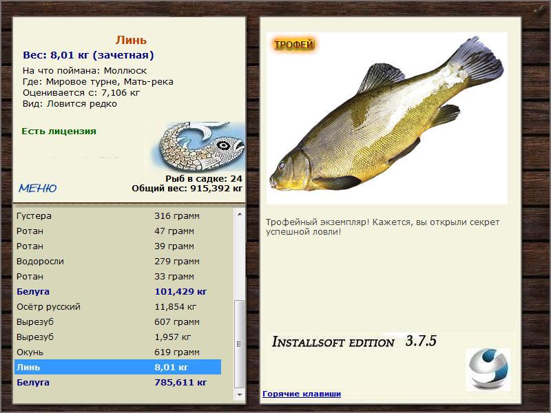 Линь рыба фото и описание на что клюет