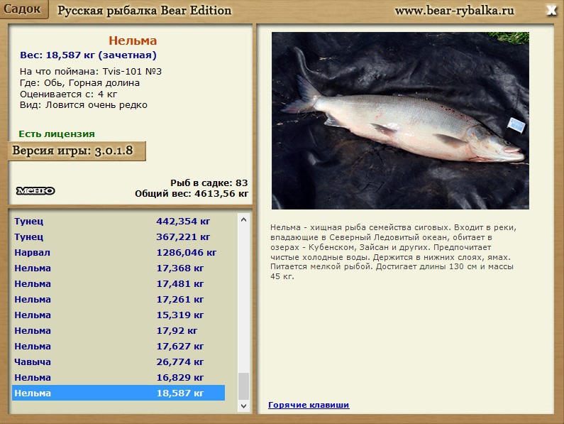 амурский сом реальная рыбалка. нельма таймень. братское водохранилище реальная рыбалка. реальная рыбалка нельма.