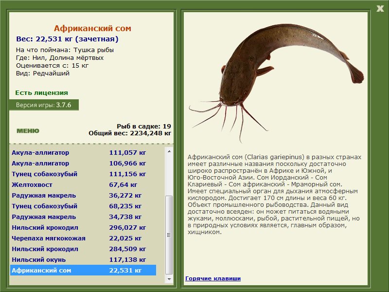 Сколько сом в рублях. Возраст сома таблица. Рост сома по годам. Таблица кормления сома. Таблицы кормления клариевого сома.