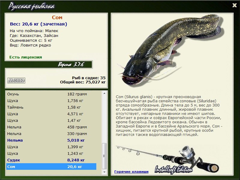 Сколько сом в рублях. Русская рыбалка 3.7 сом. Русская рыбалка Урал сом. Американский сом Размеры. Русская рыбалка ловить сомов на озере.