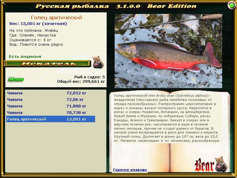 Голец Рыба Цена