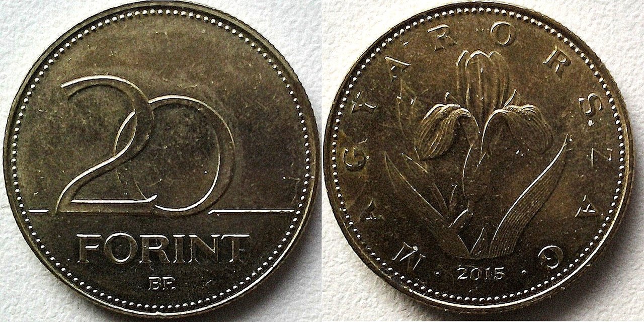 Forint монета какой страны. Монета magyar Koztarsasag 1994. Венгрия 20 форинтов 1956 10 лет форинту. Венгрия 20 форинтов 2012 года. Венгрия 20 форинт 2020.