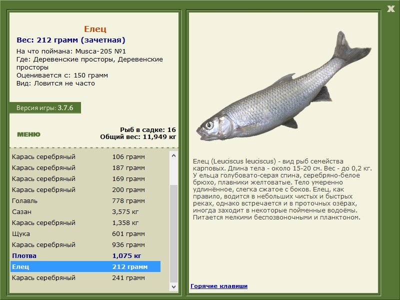 Аня написала текст ерш щука бычок. Рр 3.7.6 голавль. Русская рыбалка 3 7 6 голавль. Русская рыбалка 3.6 Онего. Рыба меч красивая.