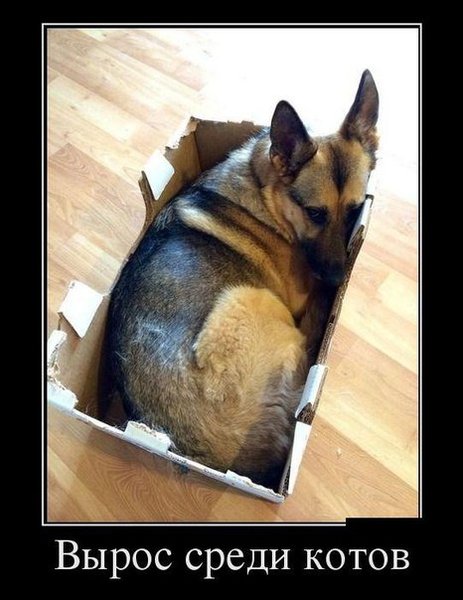 Посмеялся сам - поделись с другом!!!