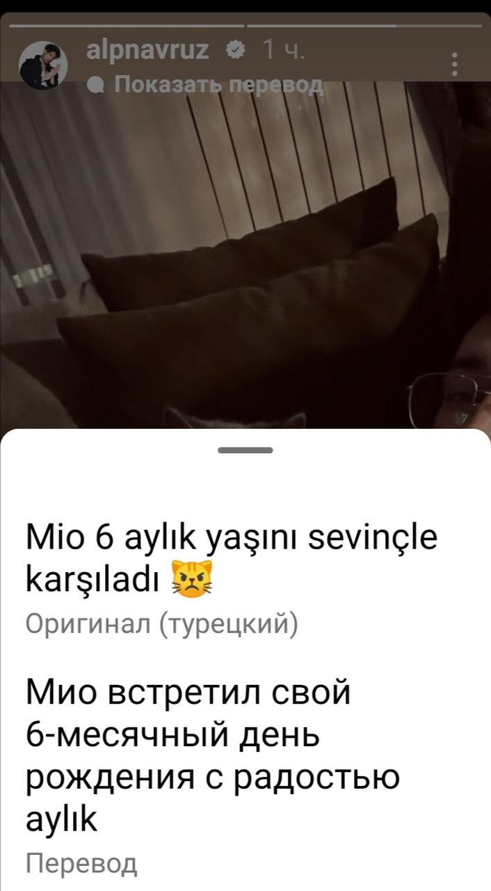 http://forumimage.ru/uploads/20250303/1741031078838396.jpg